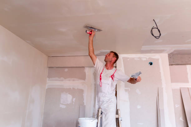 Best Drywall for New Construction  in South Whitley, IN